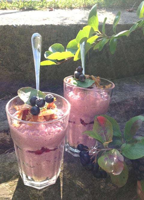 Aronia Power Kick