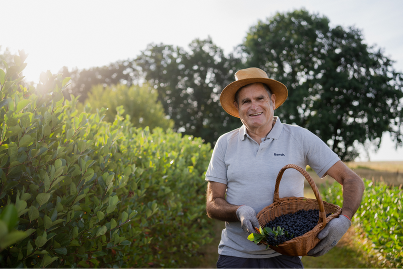 Landwirt mit Korb voll frisch geernteter Aroniabeeren in der Bio-Plantage