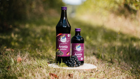 Zwei Flaschen Aronia-Direktsaft auf einer Holzscheibe zwischen den Plantagenreihen