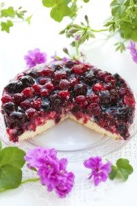 Rezeptbild: Aronia-Erdbeer-Kuchen
